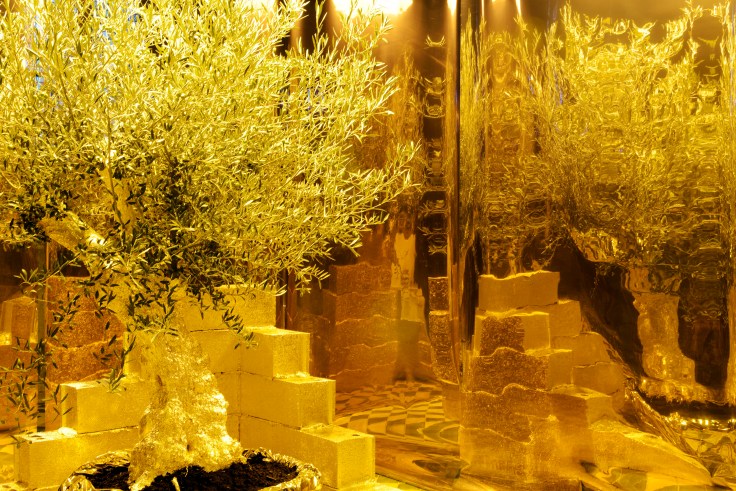 Exposition d'Icham Berrada